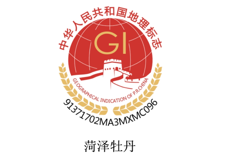 657924f8bc517.png