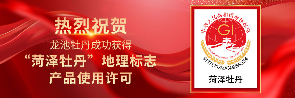 喜报！龙池牡丹成功获得“菏泽牡丹”地理标志产品使用许可！