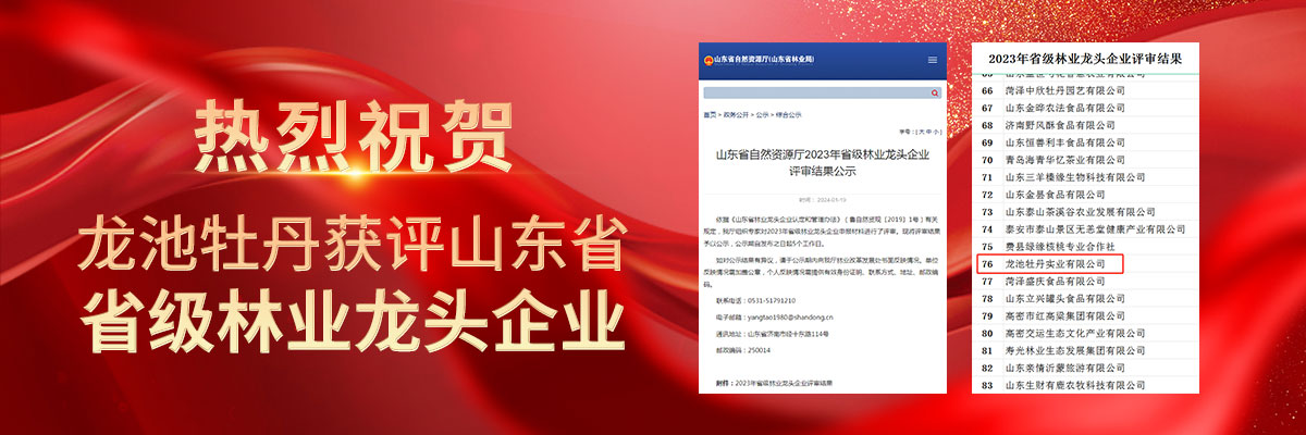 喜报！热烈祝贺龙池牡丹获评山东省省级林业龙头企业