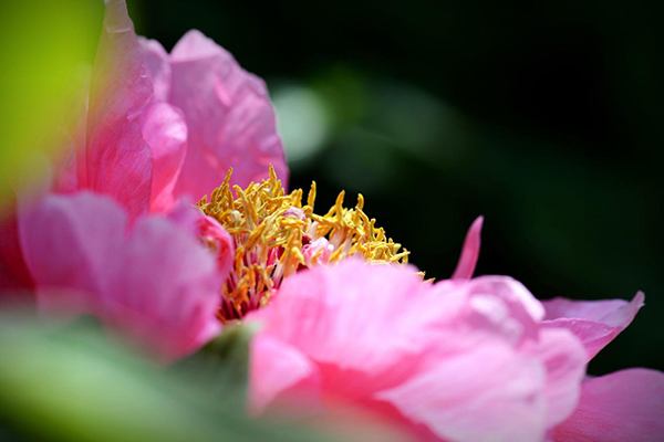 5ff2a4079d60e.jpg