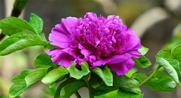 6270df3a1ab6a.png