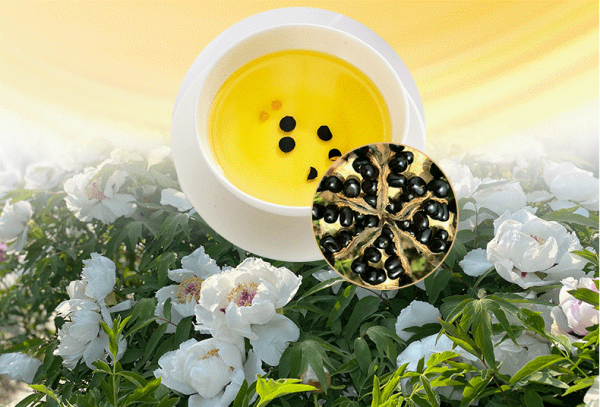 62a984d99e0f4.png