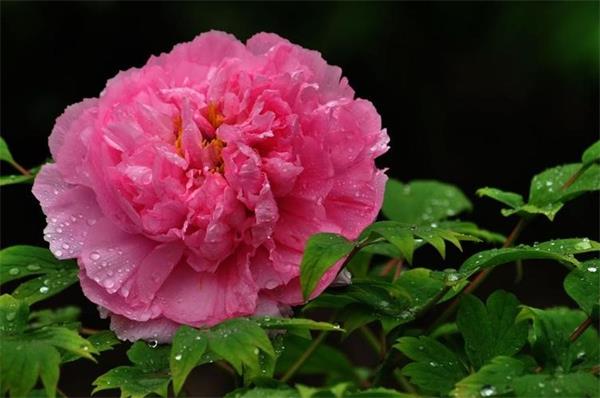 62dbb0d1d82e8.jpg