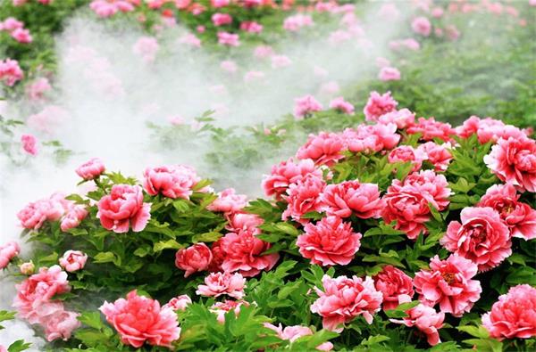 62dbb0d838c0f.jpg