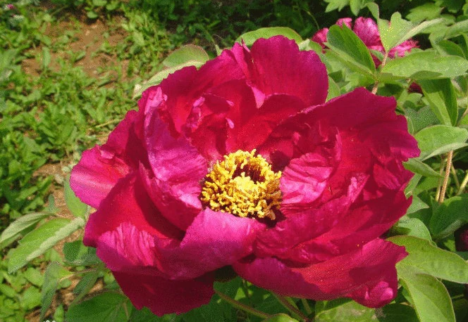 6300825cdb831.png