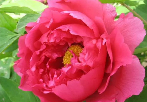 630082a2a588c.png