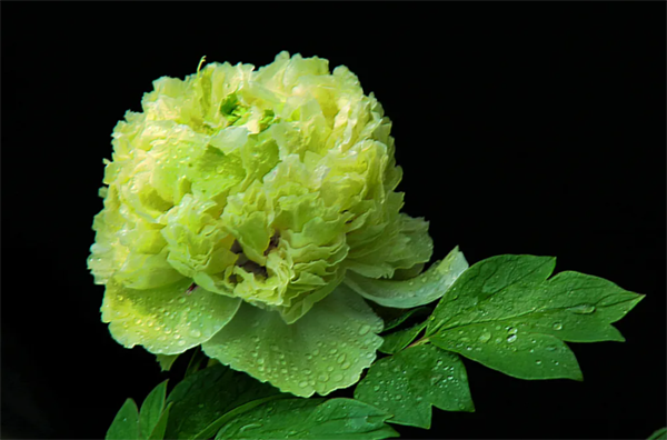 630421c41cb98.png