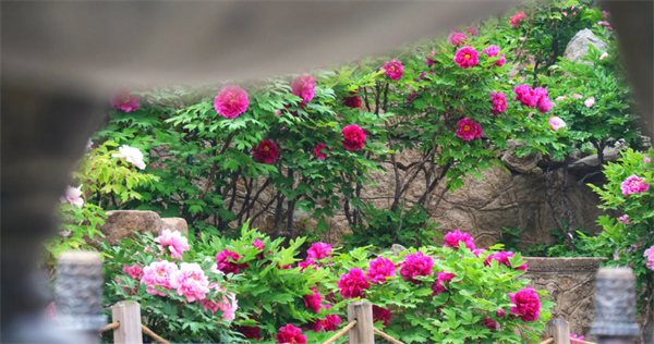 631071a6c5388.png