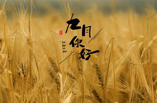631073c8783fb.png