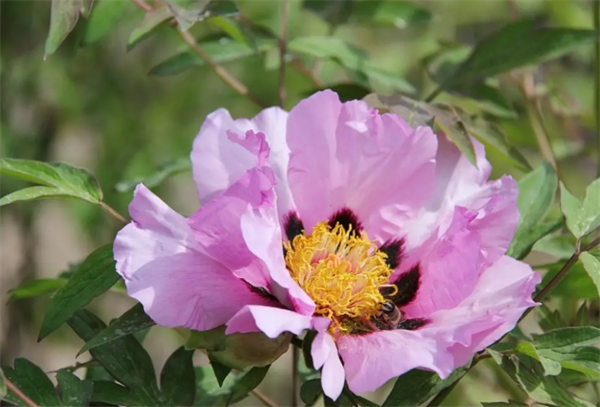 63202c073a704.png