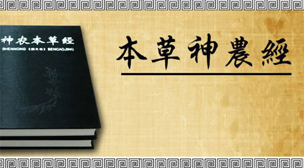 63588c19a507e.png