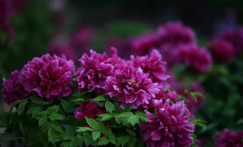 63719712c8761.png