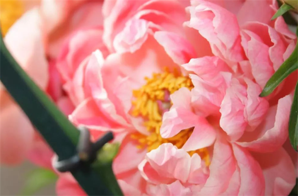 638fe32023c6a.png