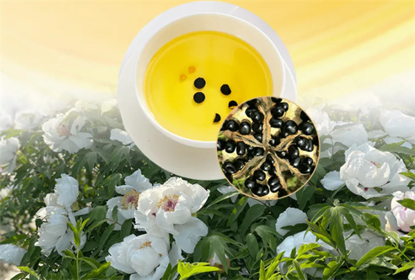 639c285824e85.png