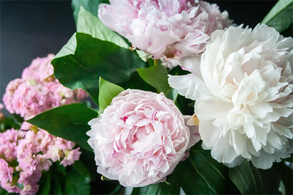 64950f09bcd33.png